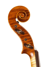 Piccinotti scroll