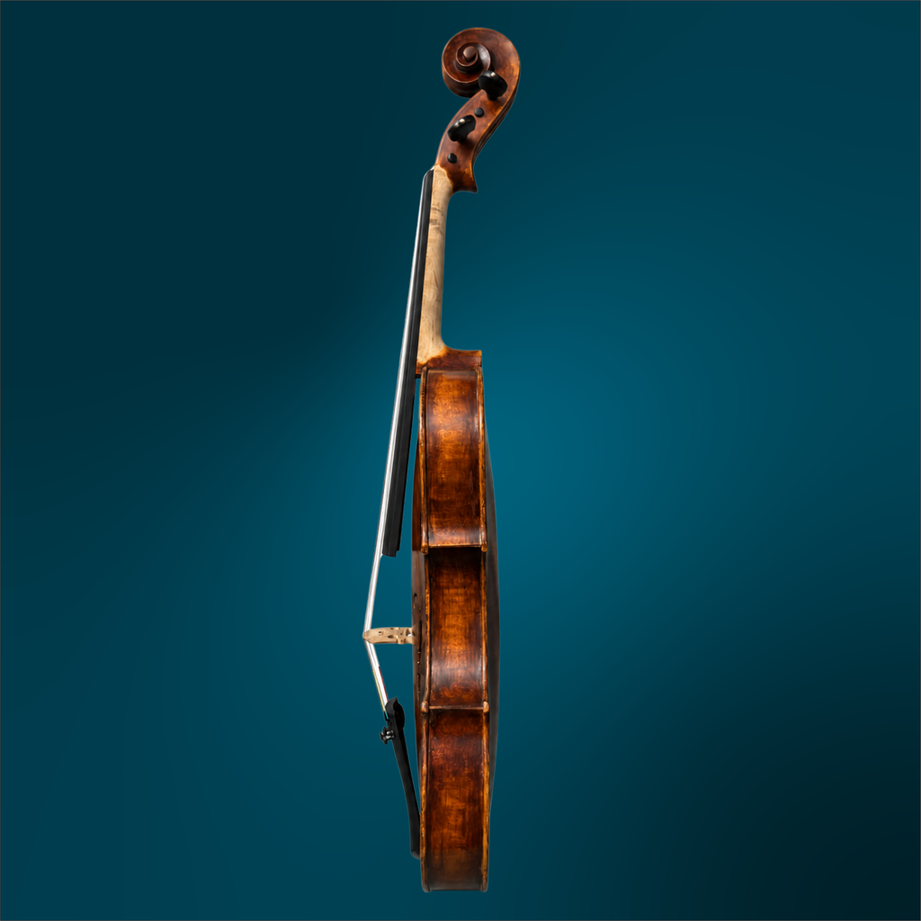 3168TC (3).webp
