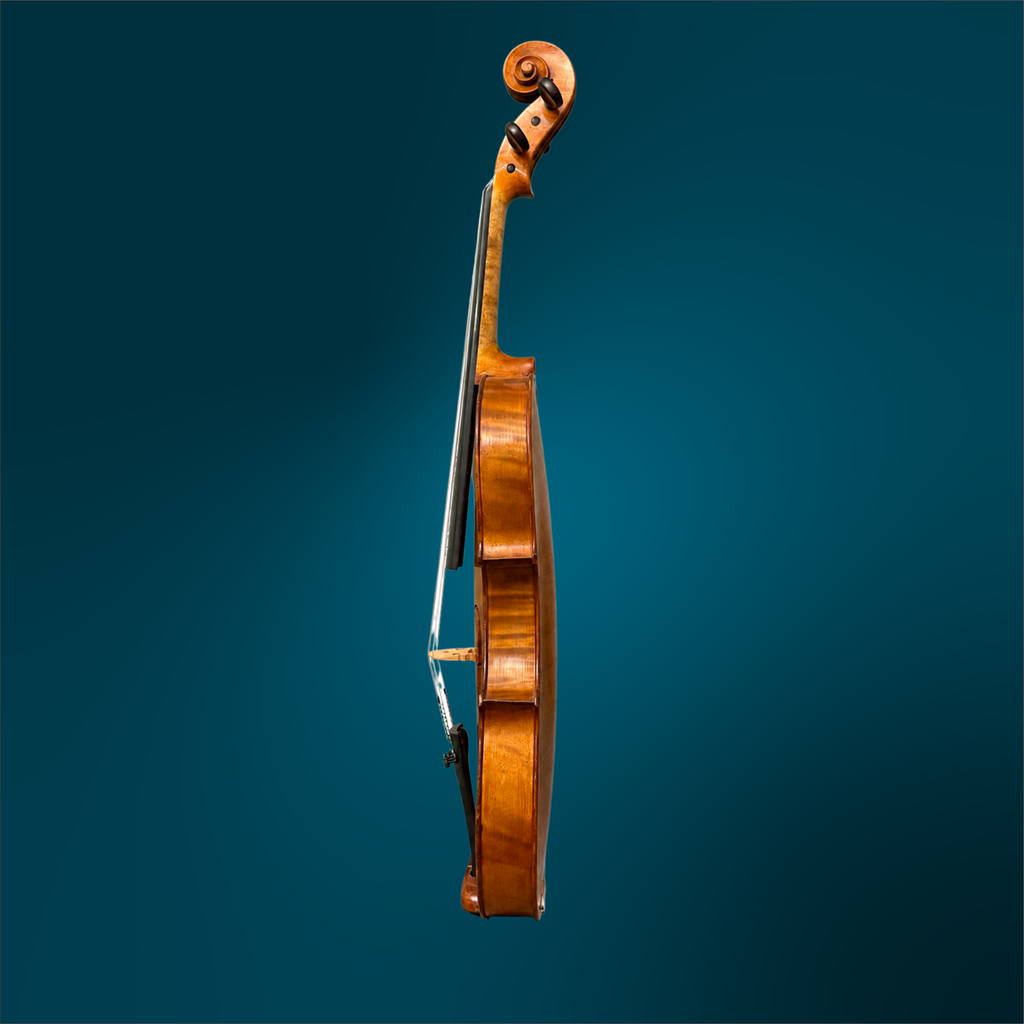 3886 (3).webp