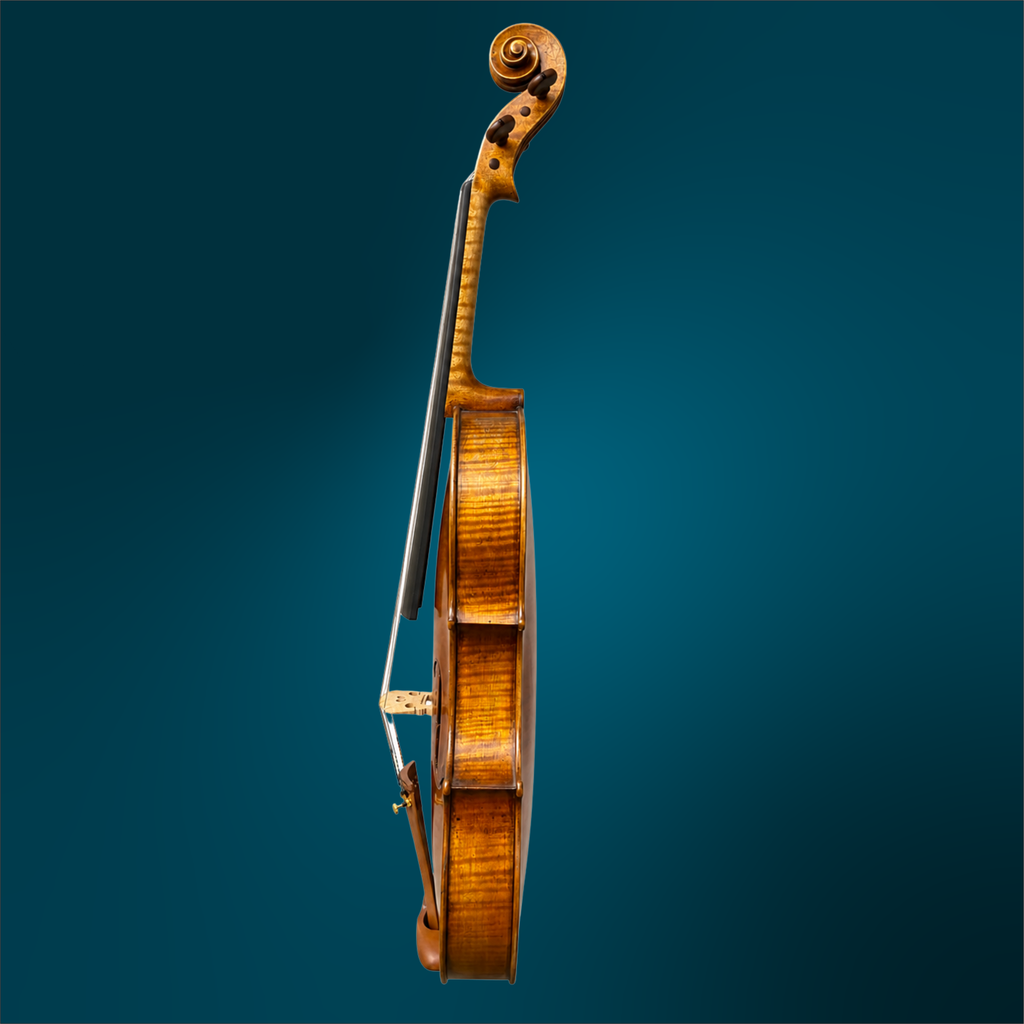 3924TC (3).webp