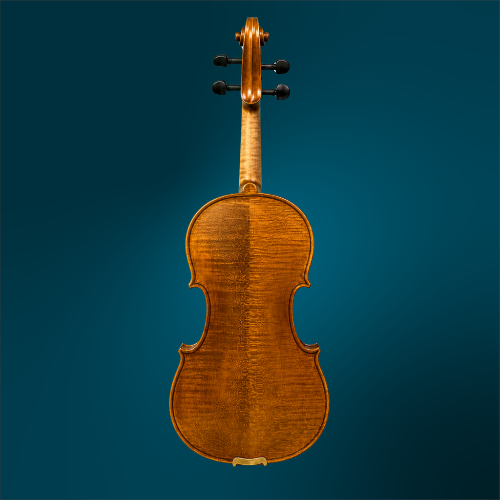 5043 (2).webp
