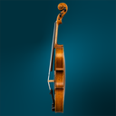 5044 (3).webp