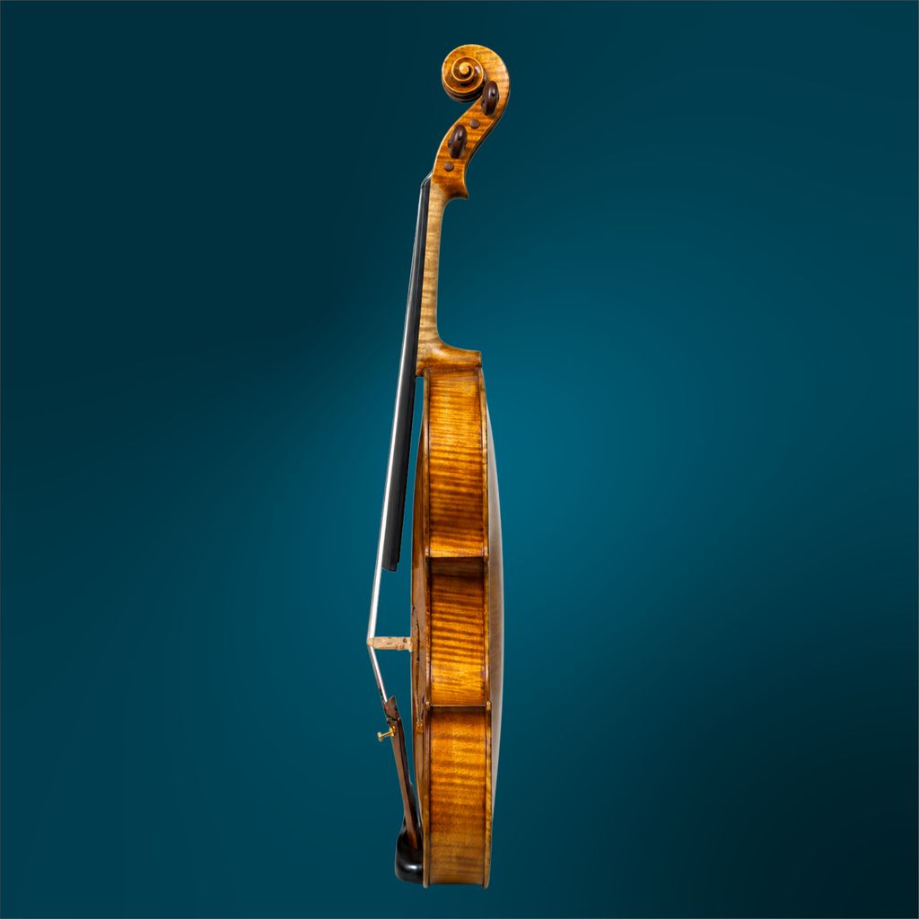 C372 (3).webp