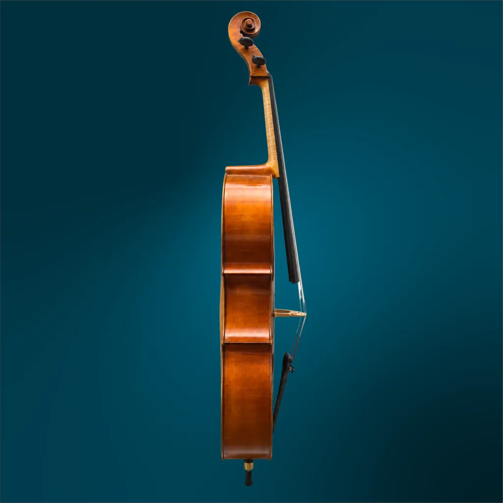 C406 (3).webp