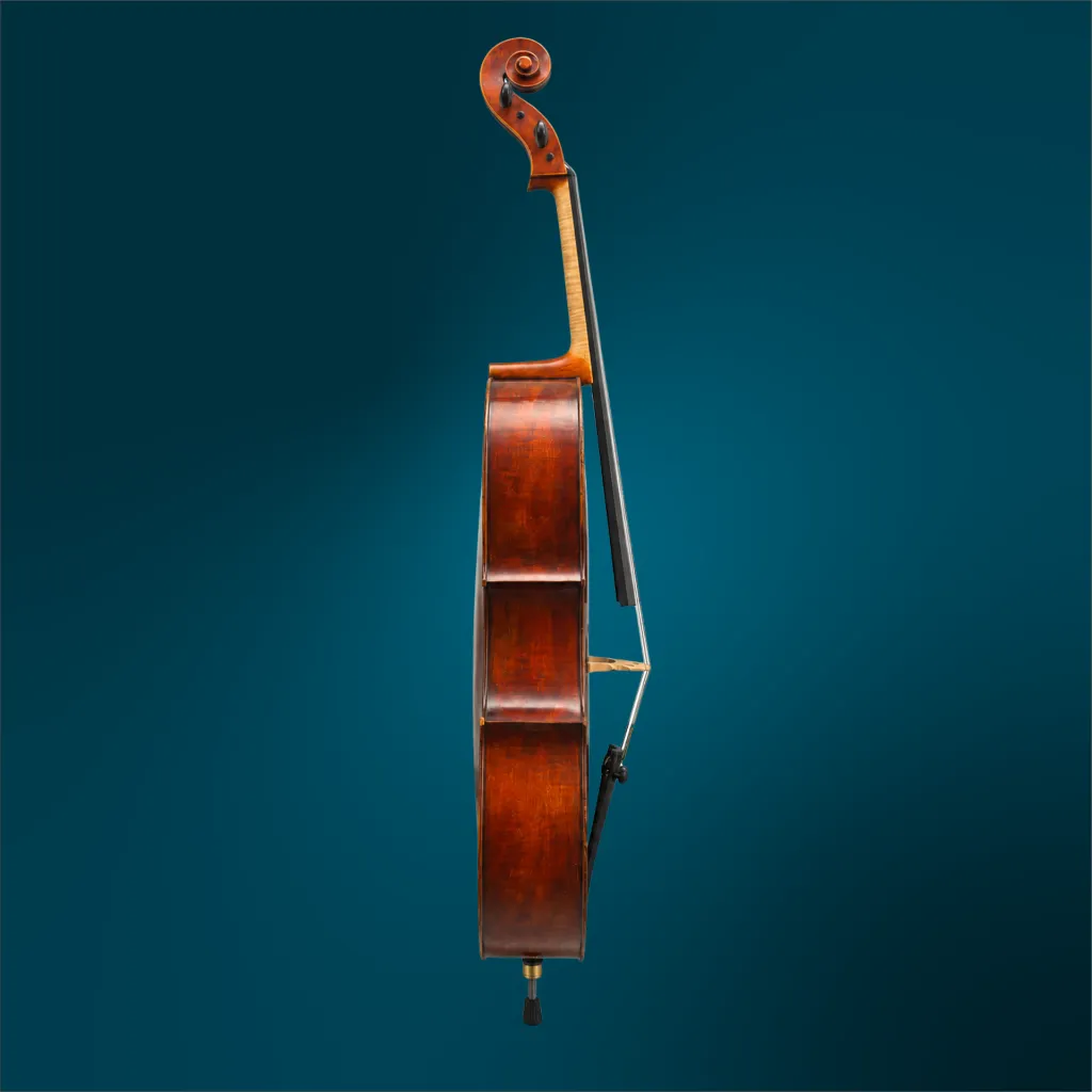 C286 (3).webp