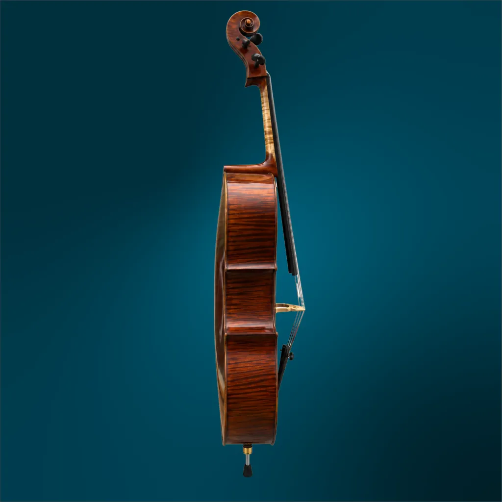 3215 (3).webp