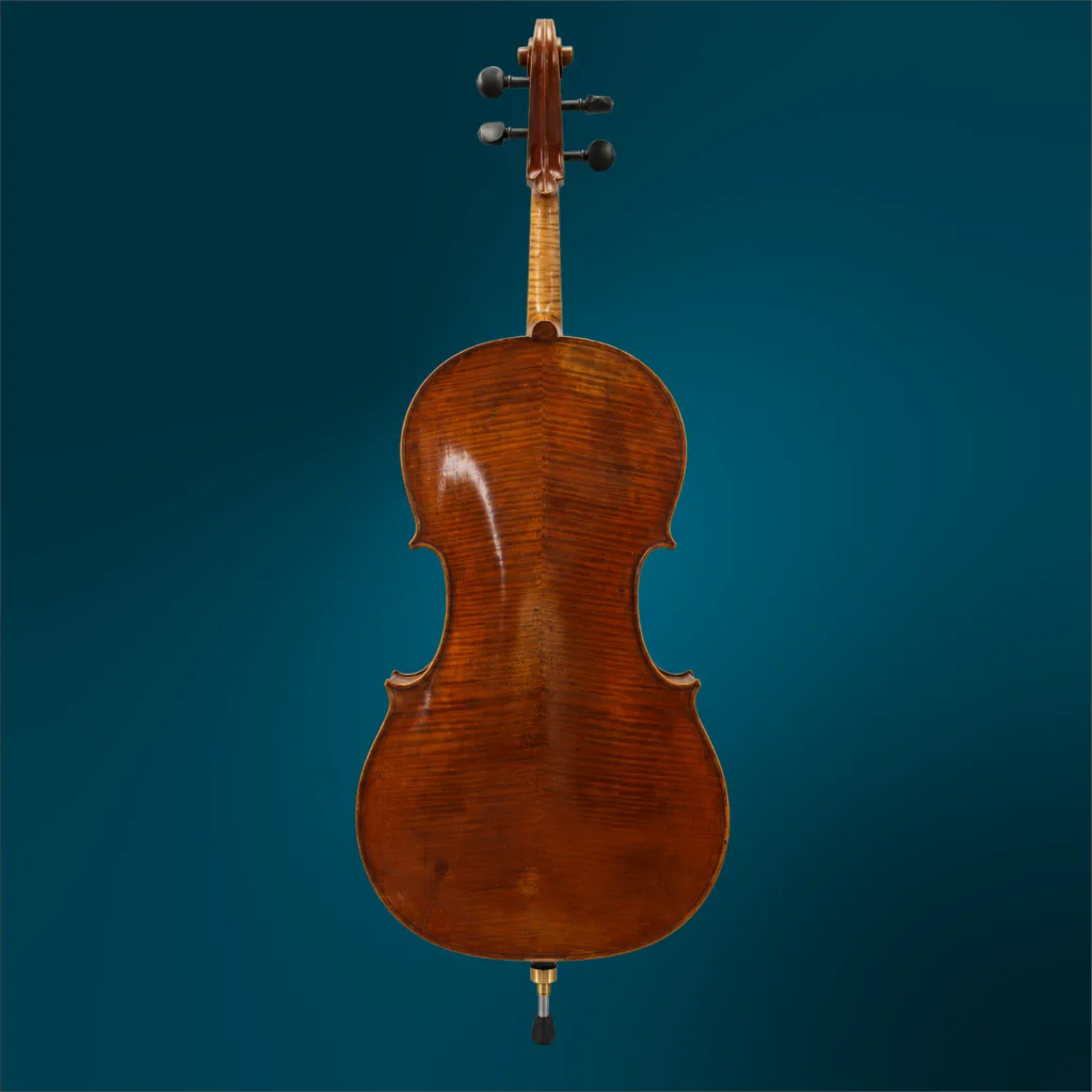 C282 (2).webp