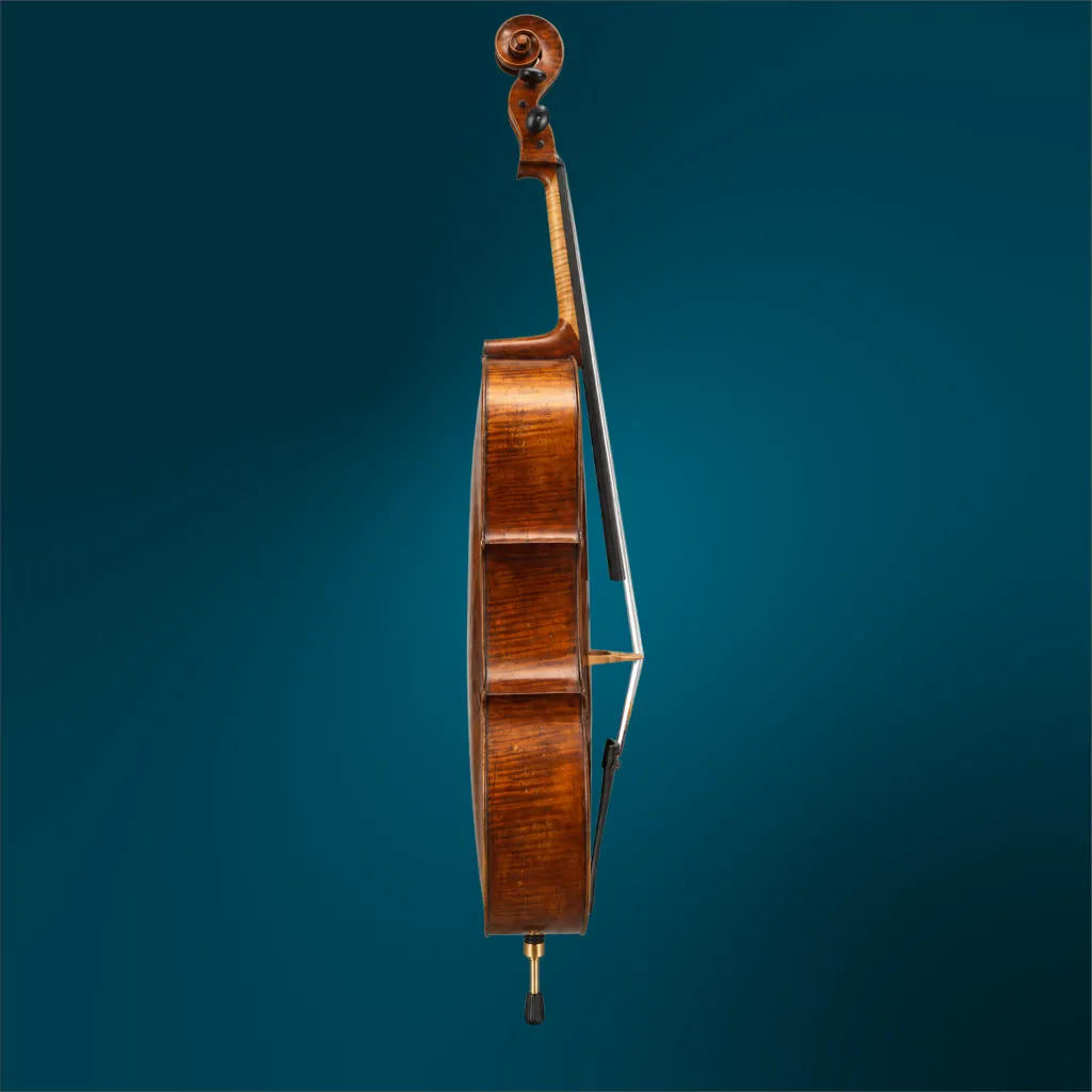 C282 (3).webp