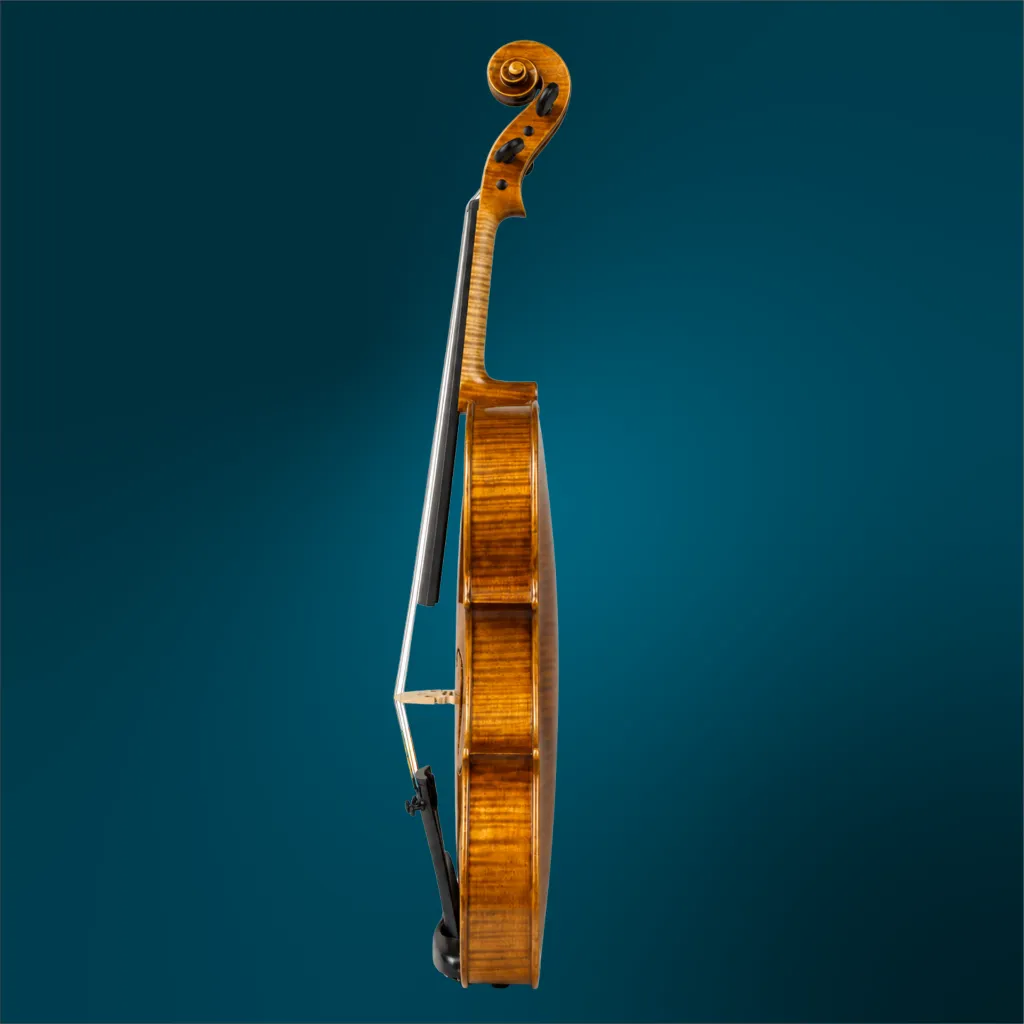 4827 (3).webp