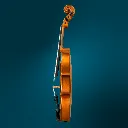 4794 (3).webp