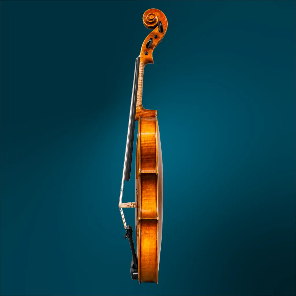 4841 (3).webp