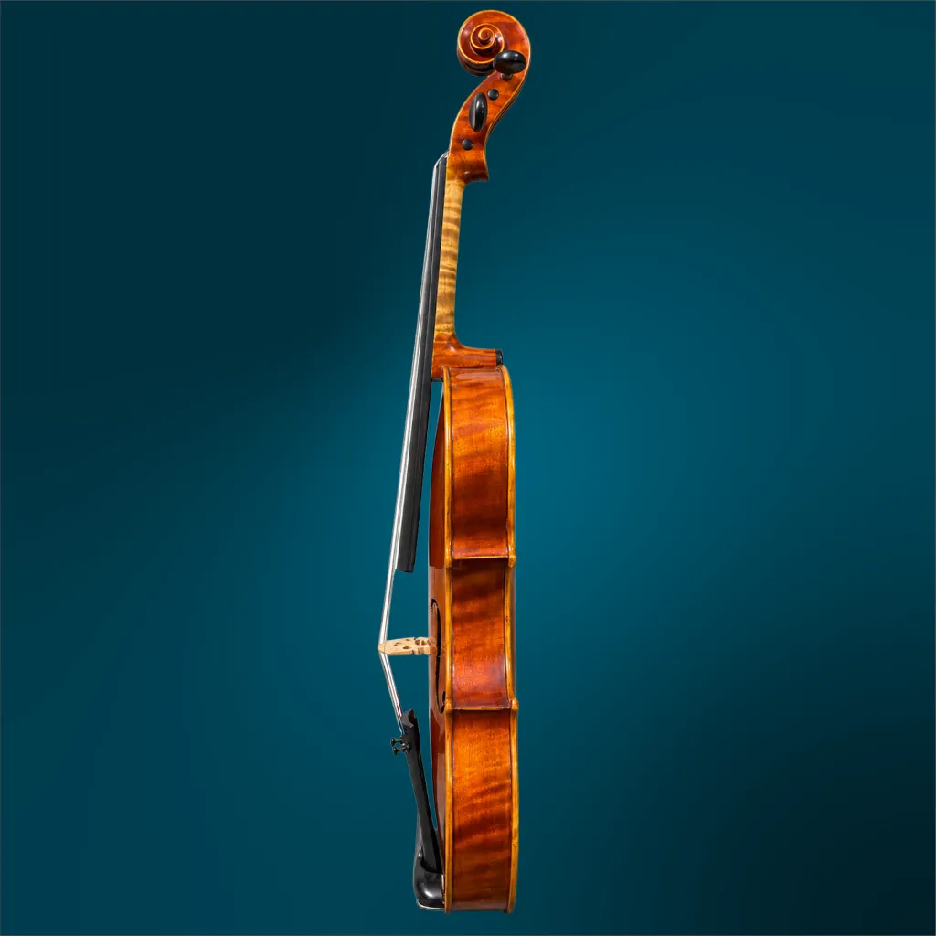 4897 (3).webp