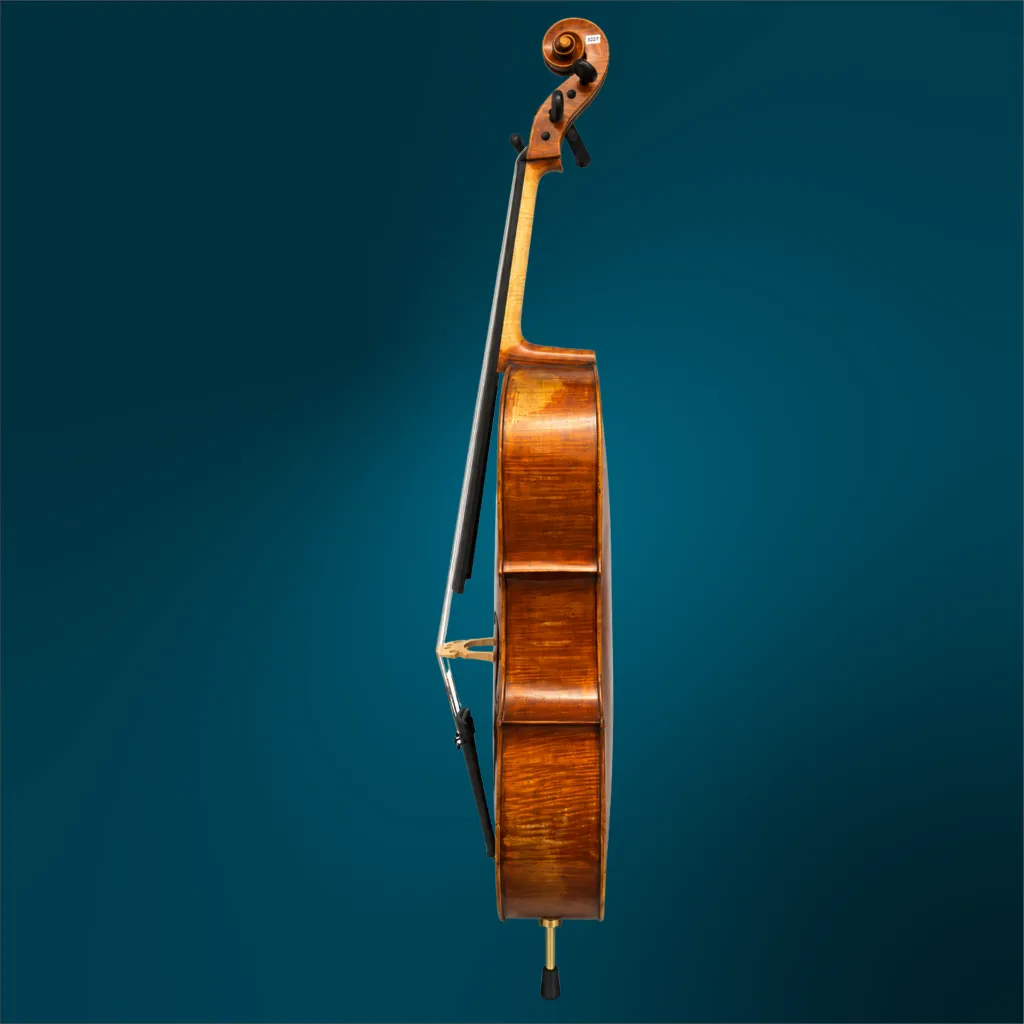33227 (3).webp