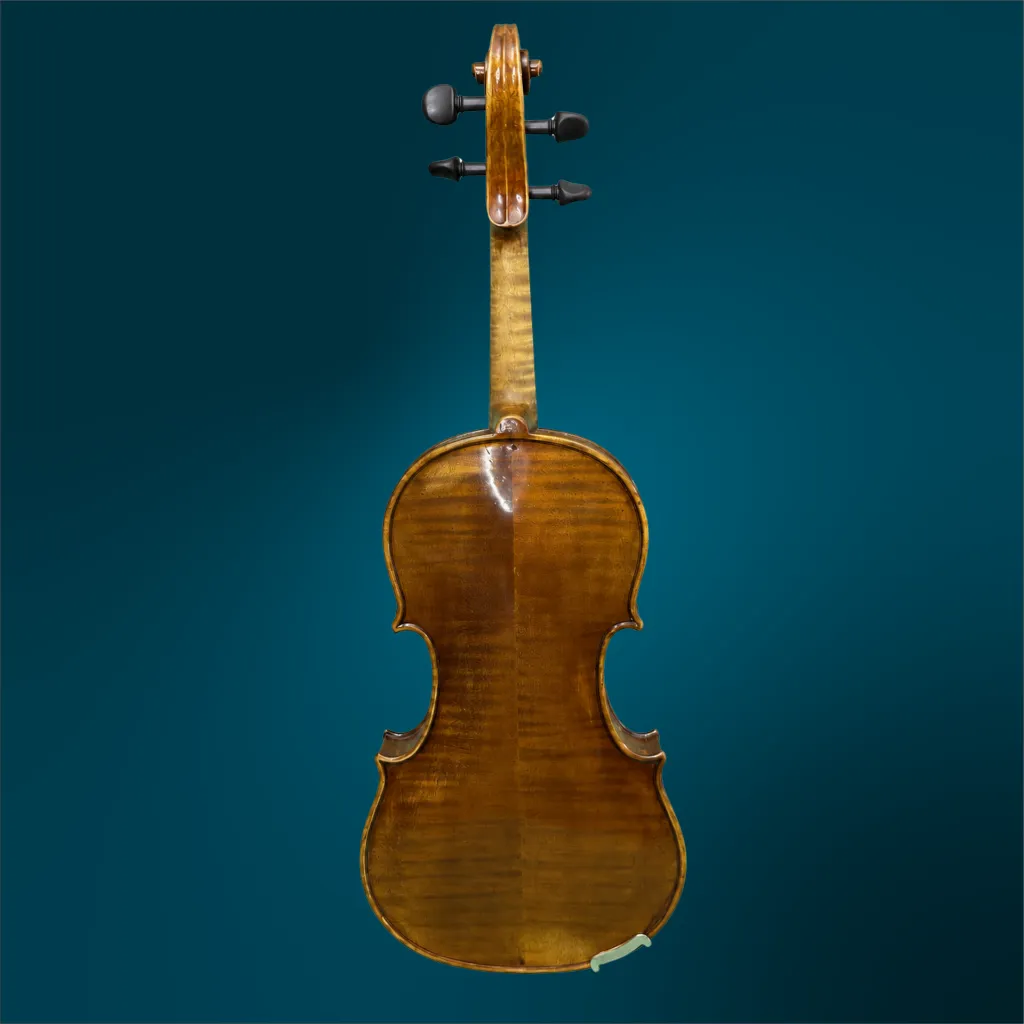 2258 (2).webp
