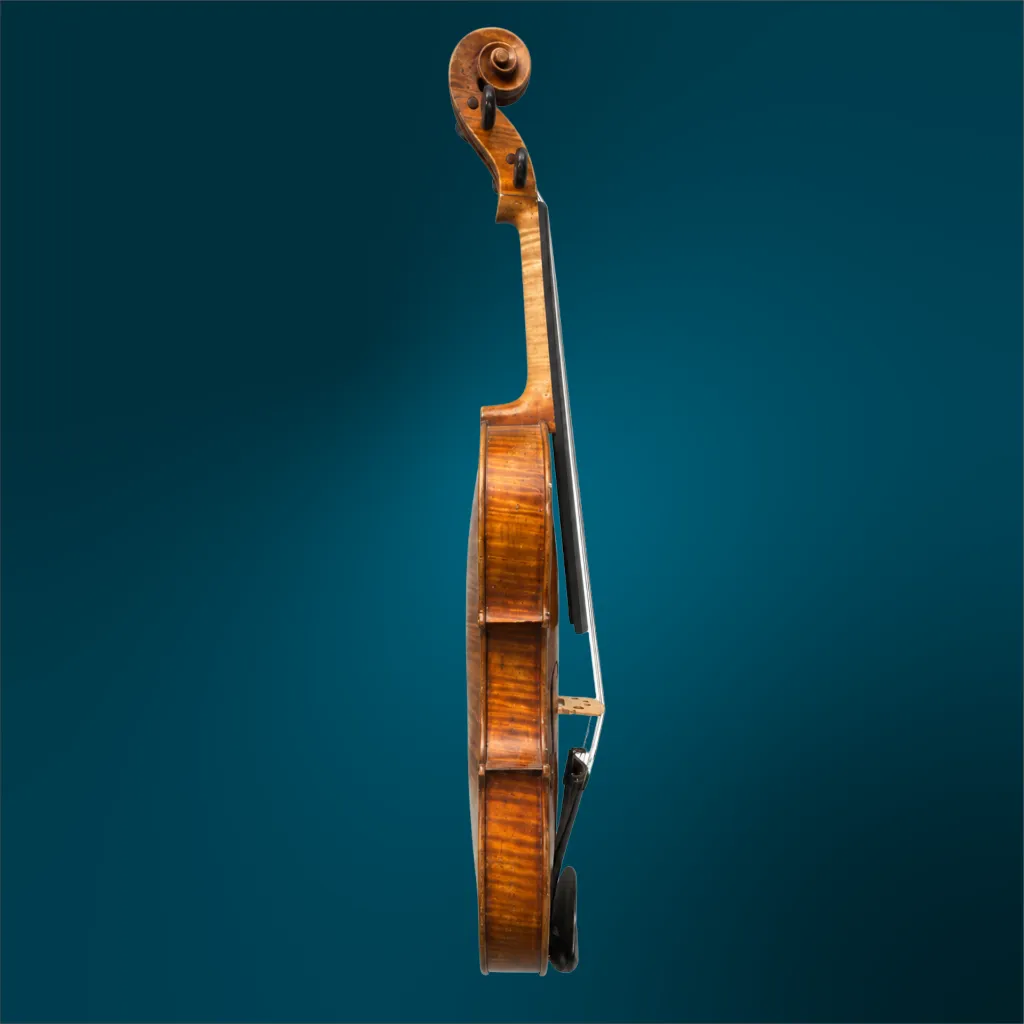 3922tc (3).webp