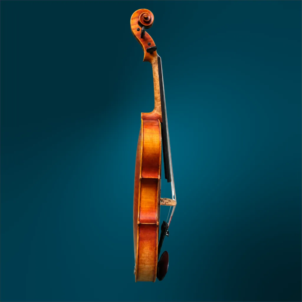 4843 (3).webp