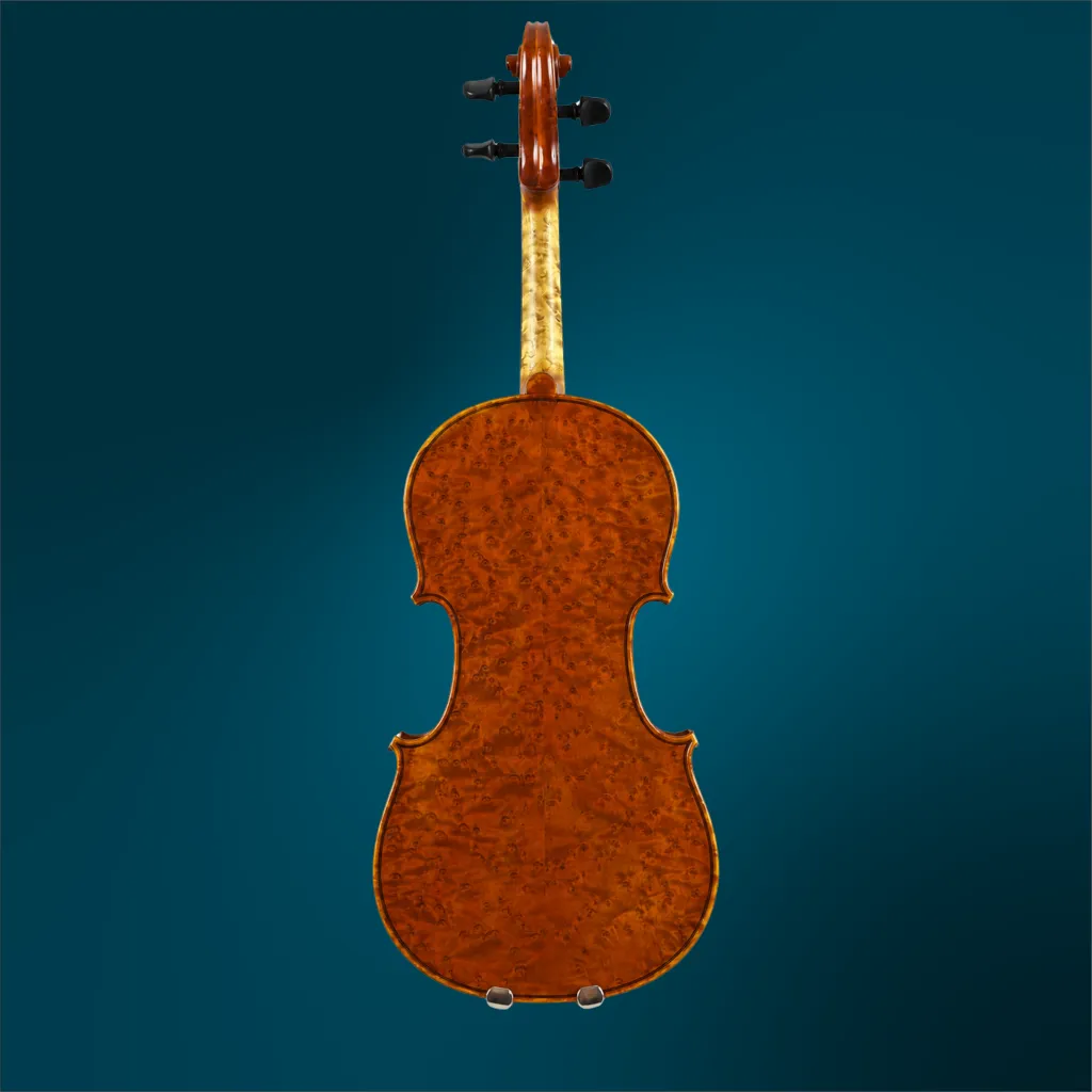 C424-1713 (2).webp