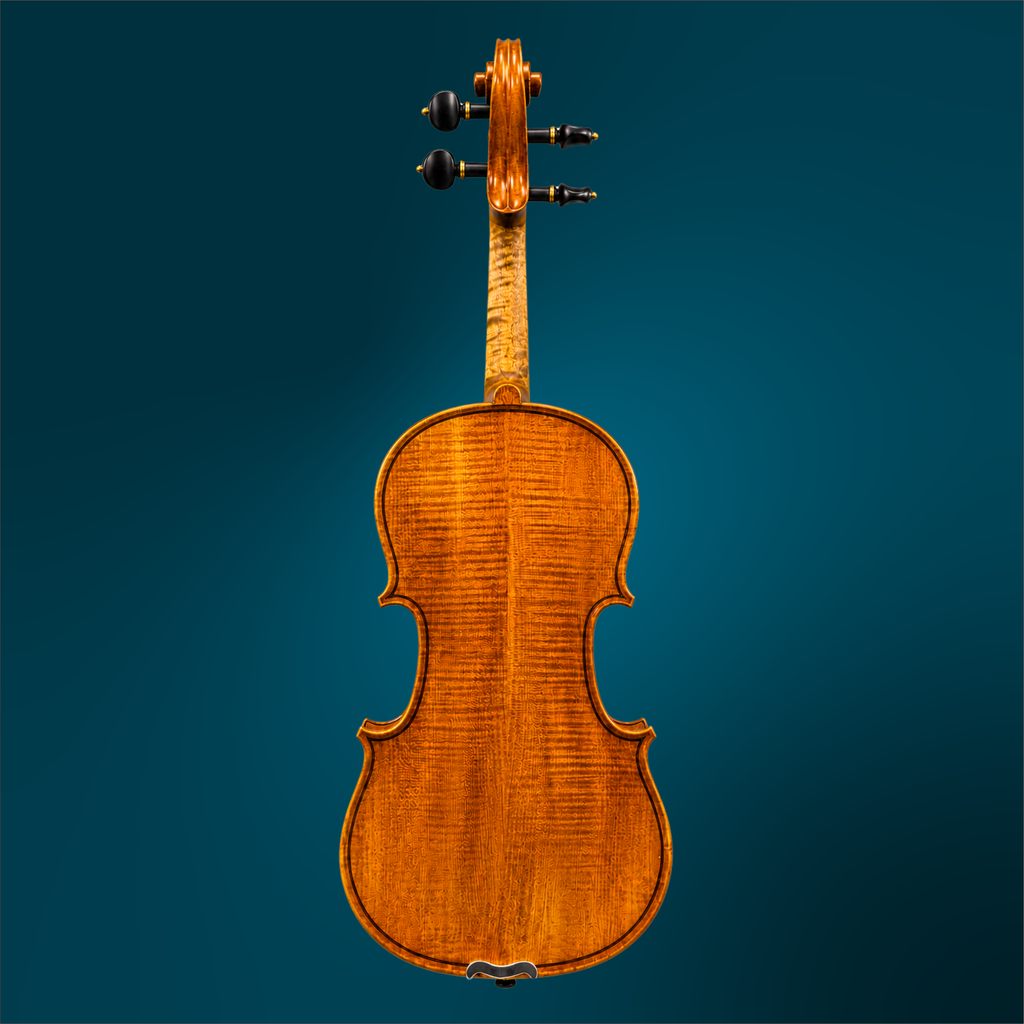 241941341 - 2597 (2).webp