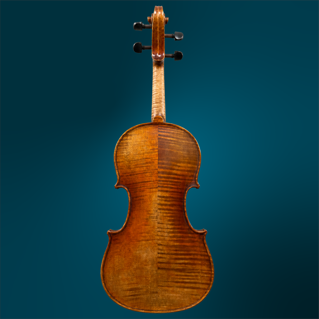 241941341 - 4946 (2).webp