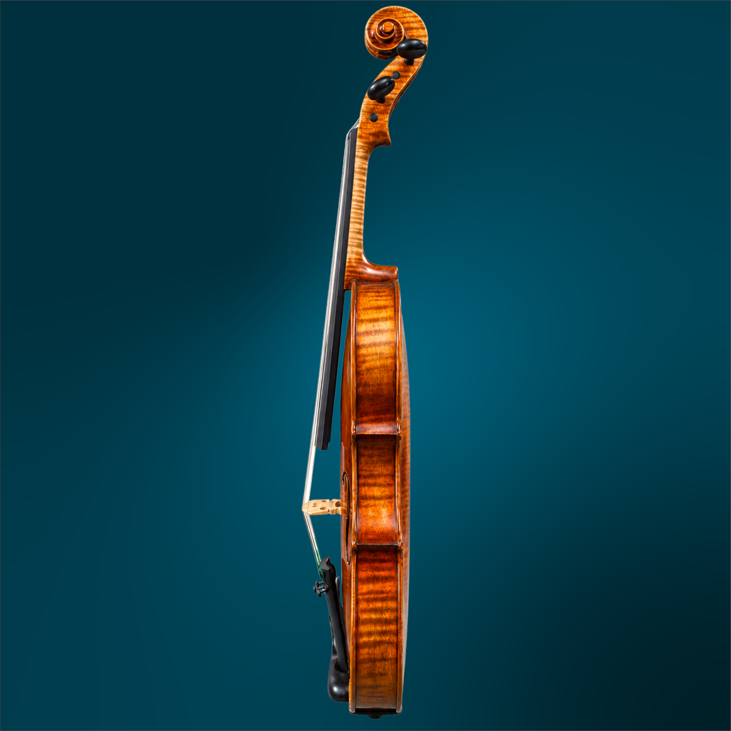 241941341 - 4946 (3).webp