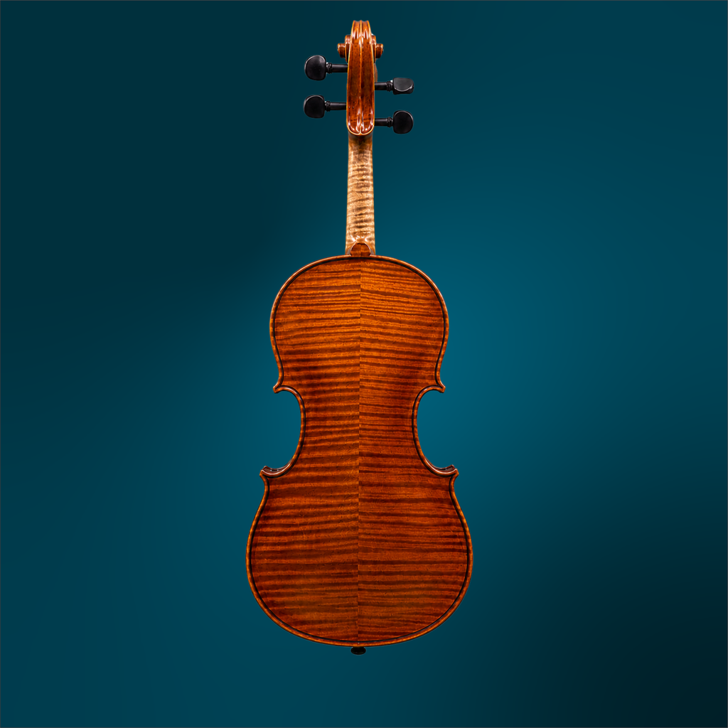 241941341 - 4986 (2).webp