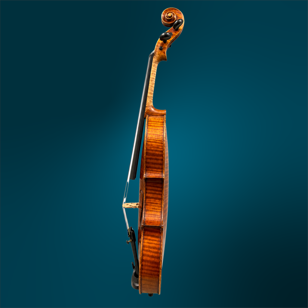241941341 - 4986 (3).webp