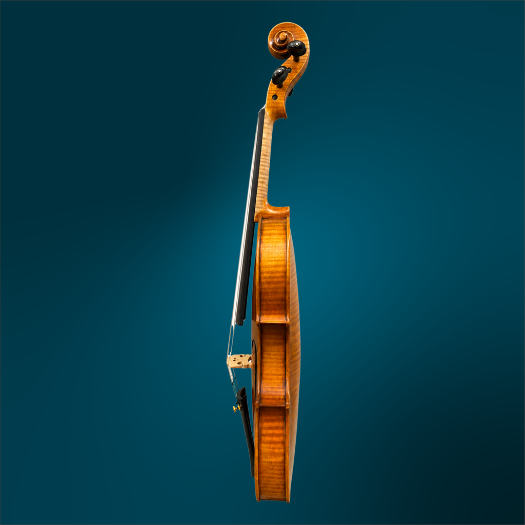 241941341 - 5011 (3).webp