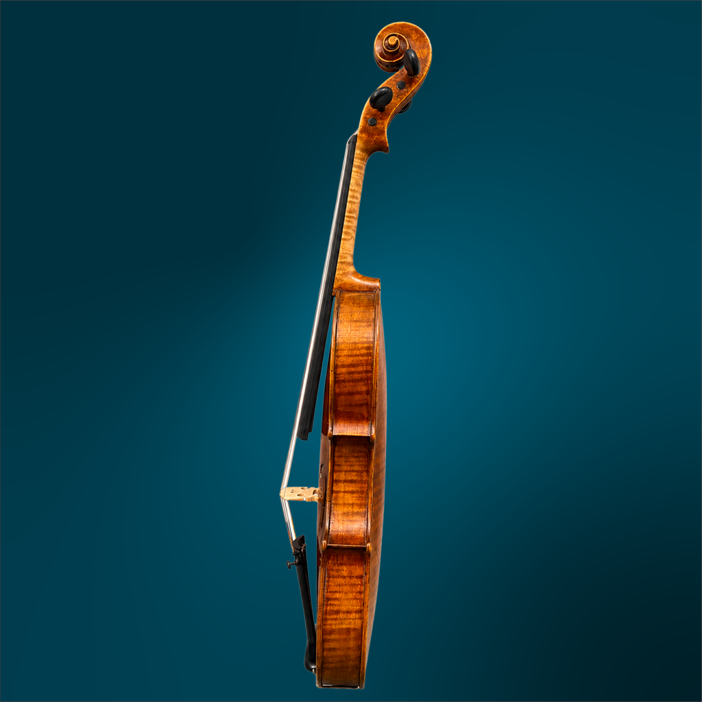 241941341 - 5505 (3).webp
