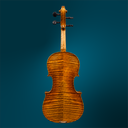 4943 (2).webp