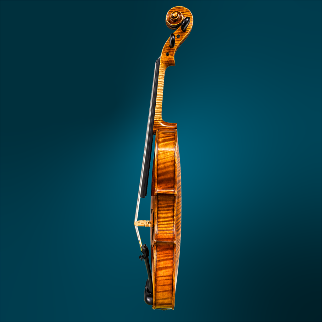 4943 (3).webp
