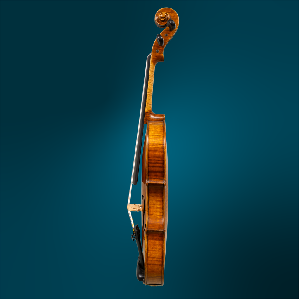 4944 (3).webp