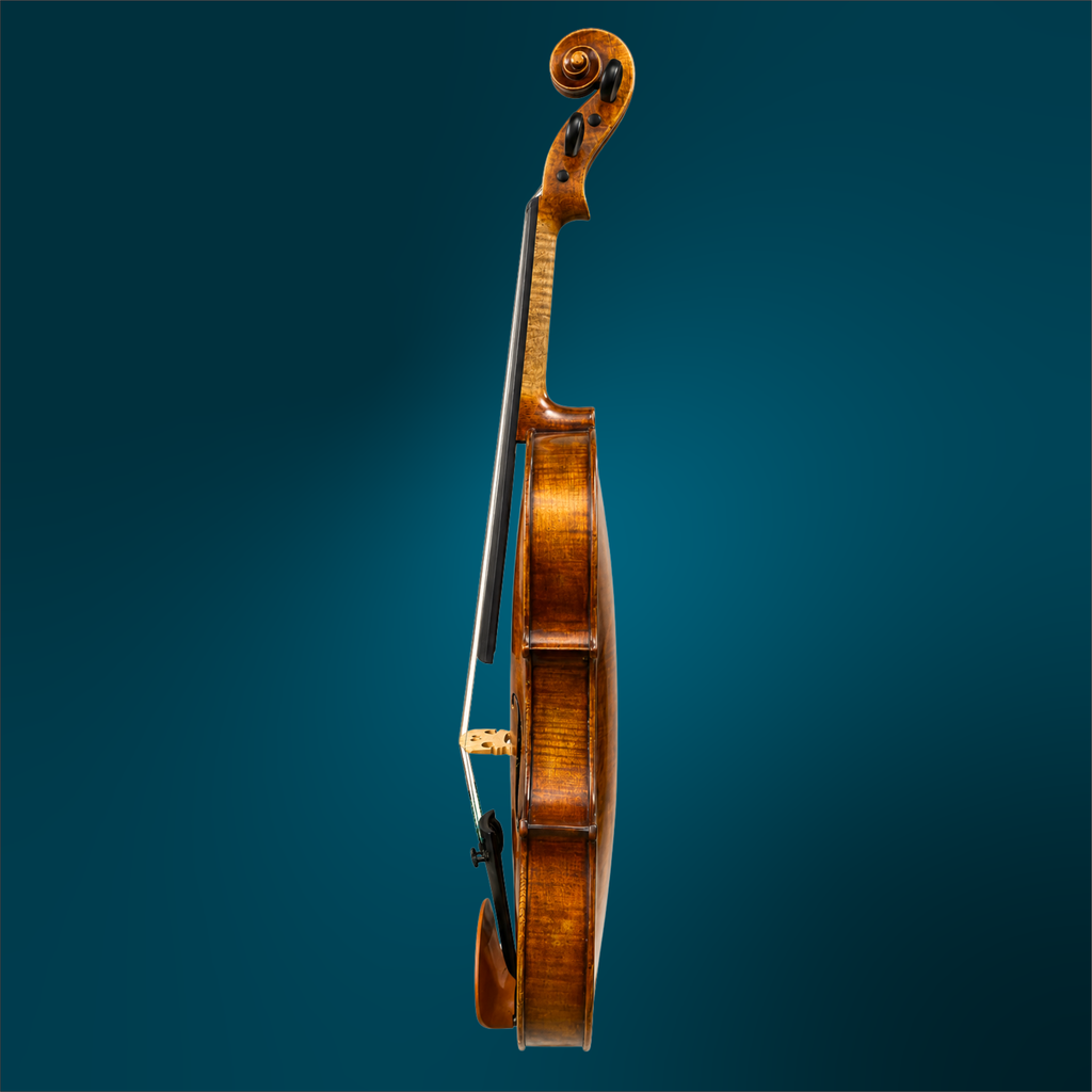4971 (3).webp