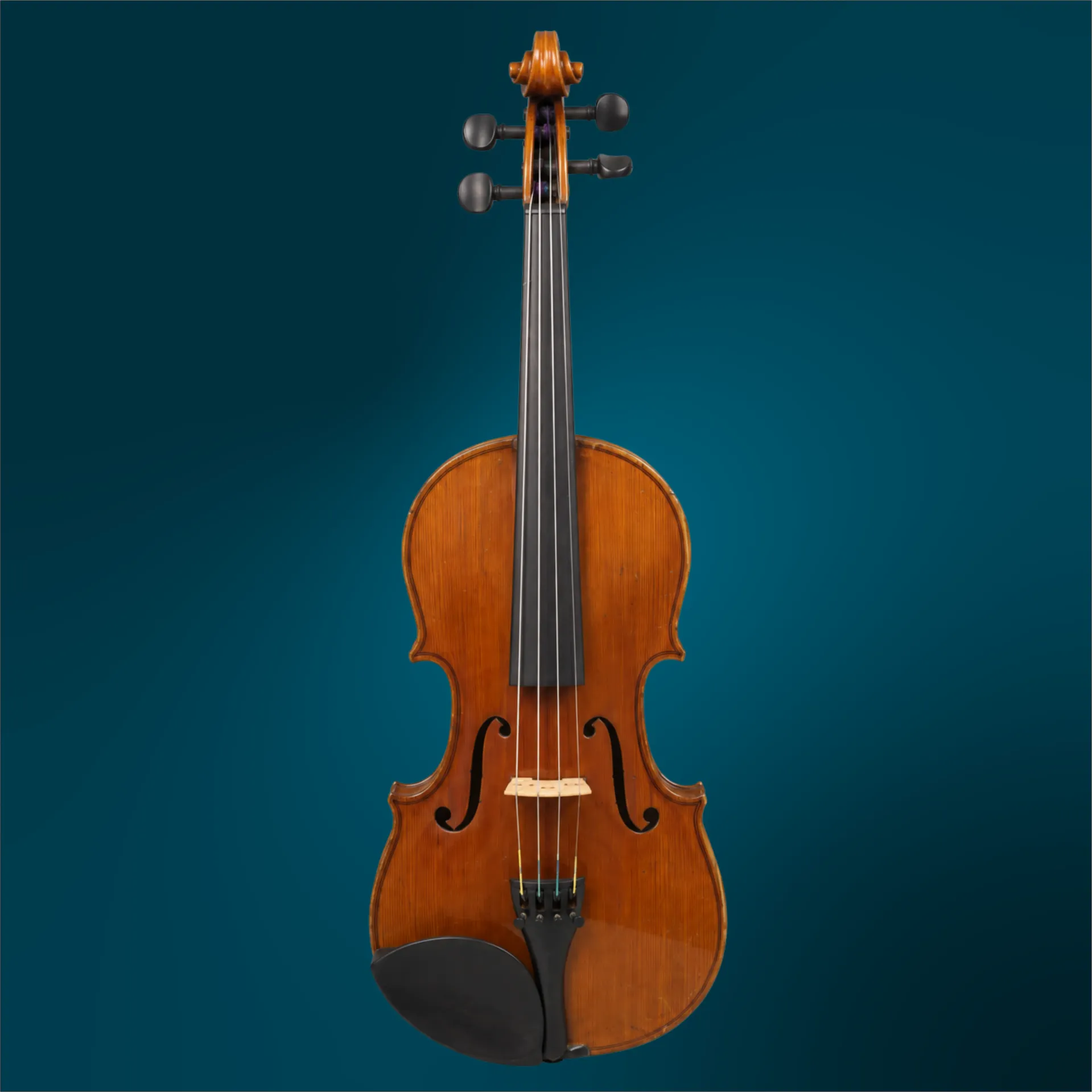 Violin - Bianca Cedro, 4/4 (#4989)