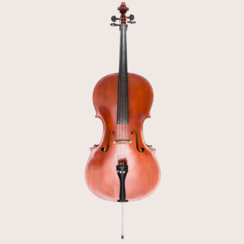 Cello Rental (4/4)