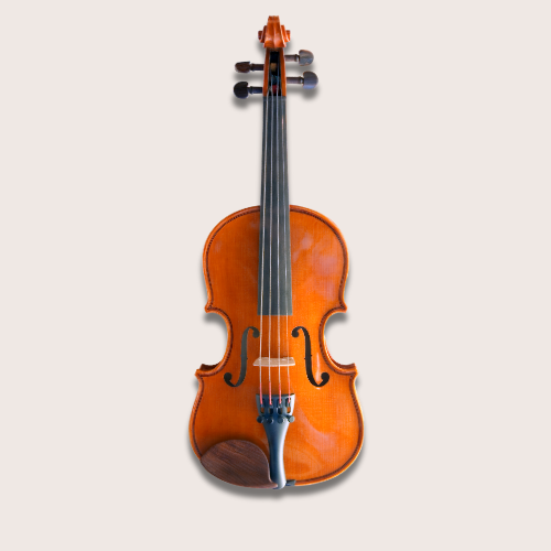 Violin Rental (4/4)