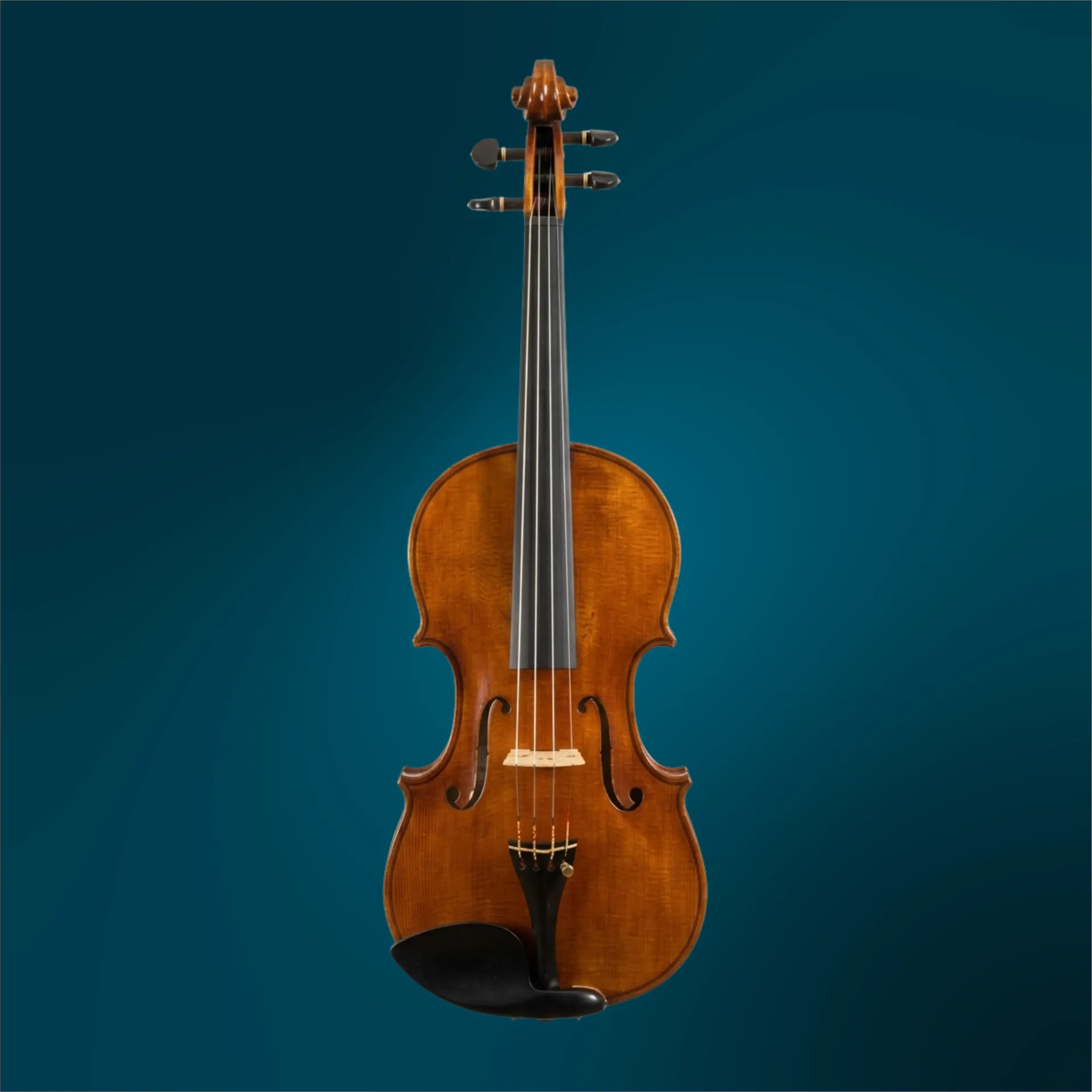 Violin by Luca Zerilli, 2024