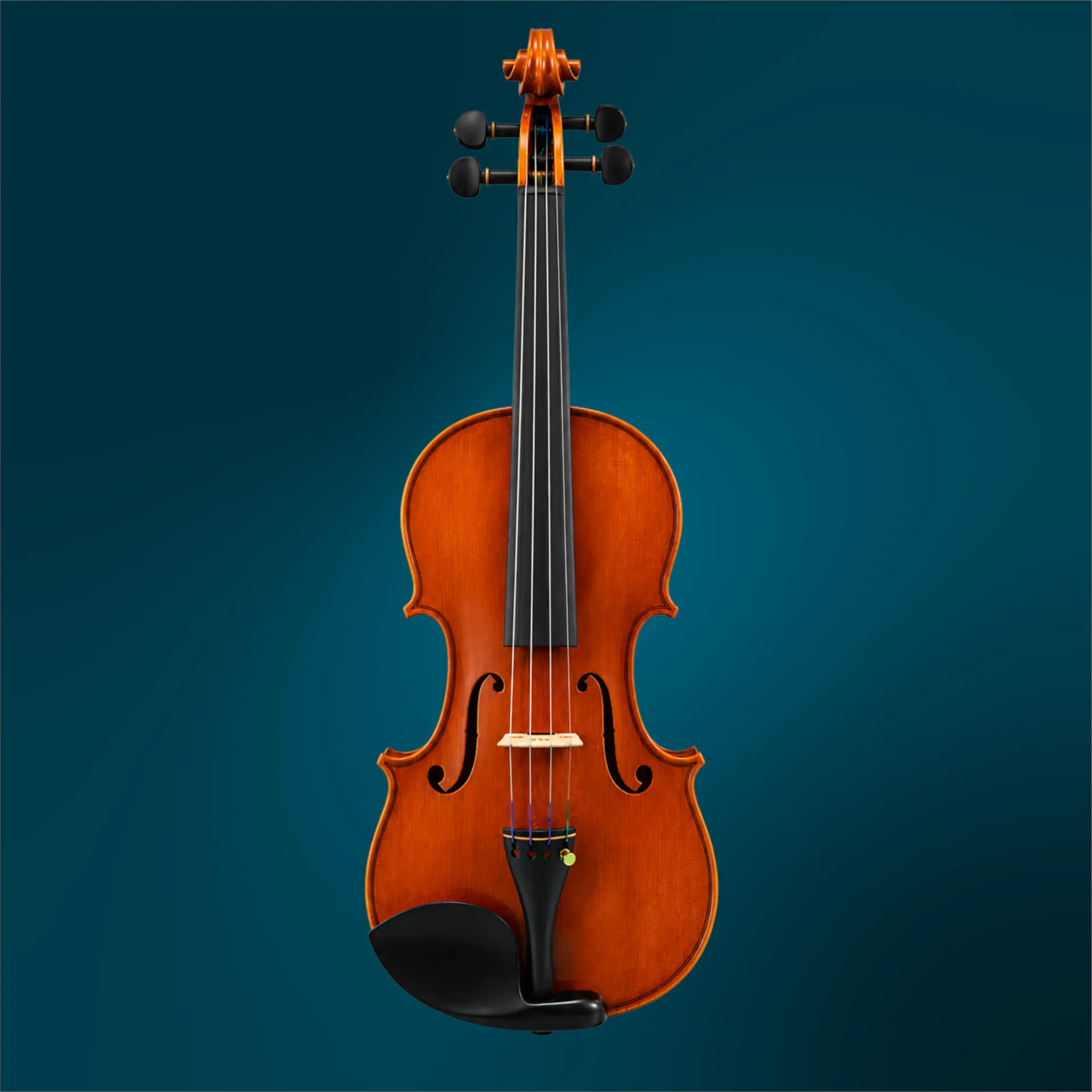 Violin by Andrea Lissoni, 2012