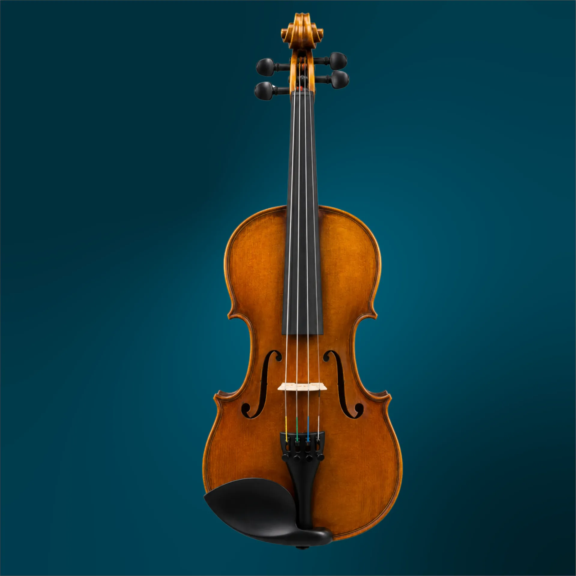 Violin by Benvenuto Botturi, 1965