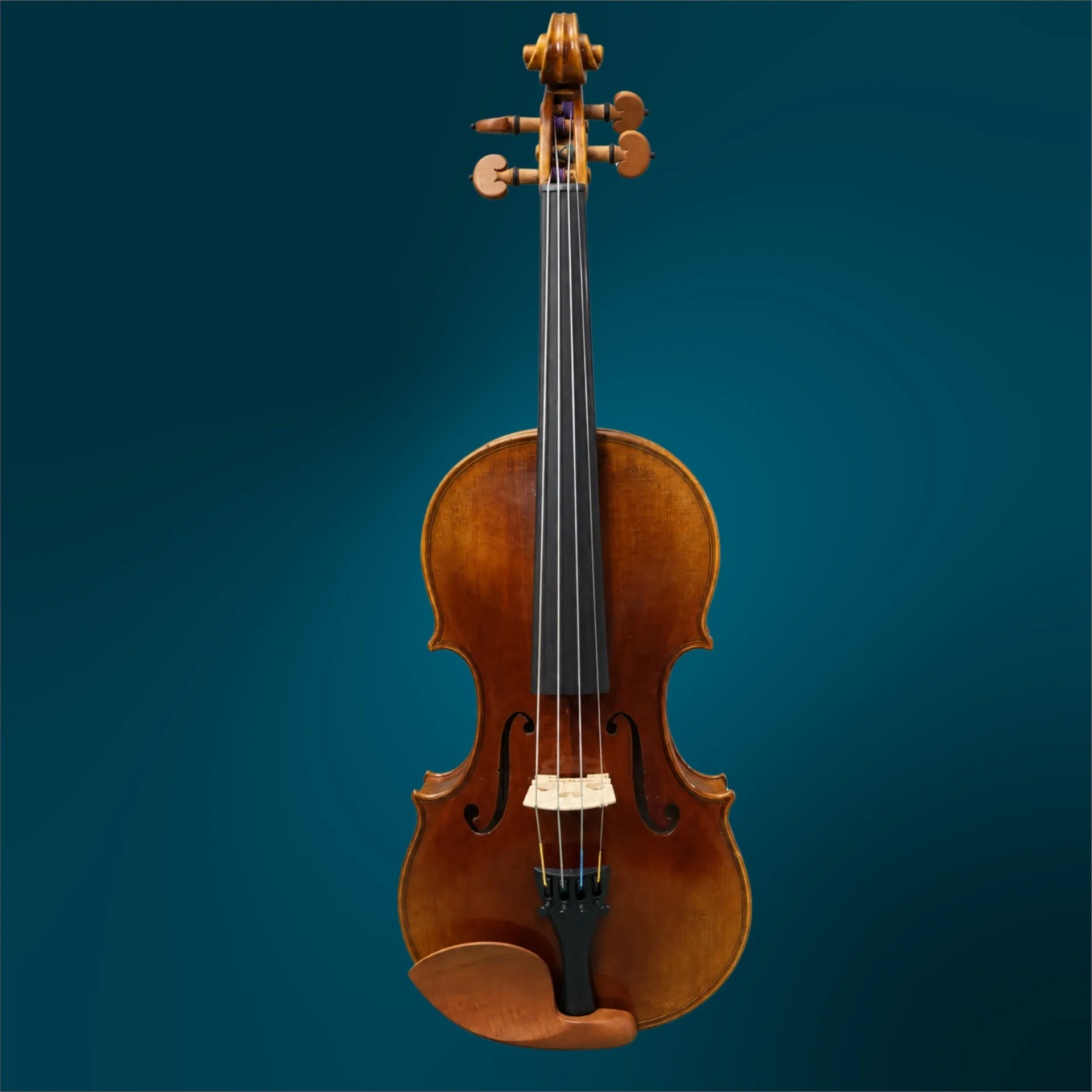 Violin - Sofia Arietti, 4/4 (#5075)