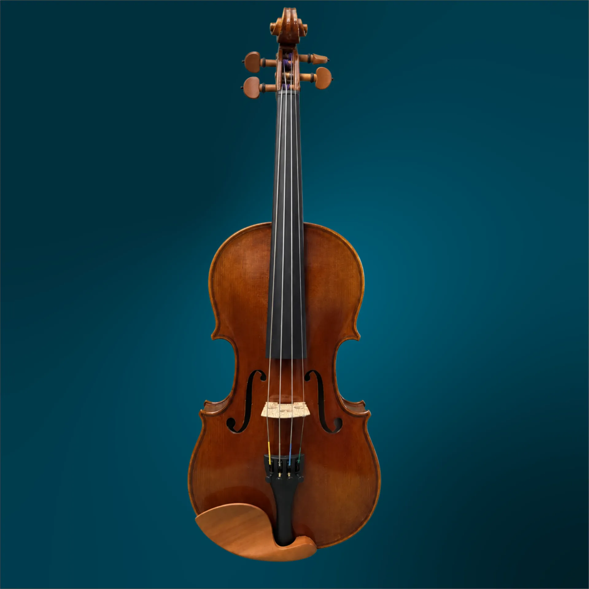Violin - Sofia Arietti, 4/4 (#5078)