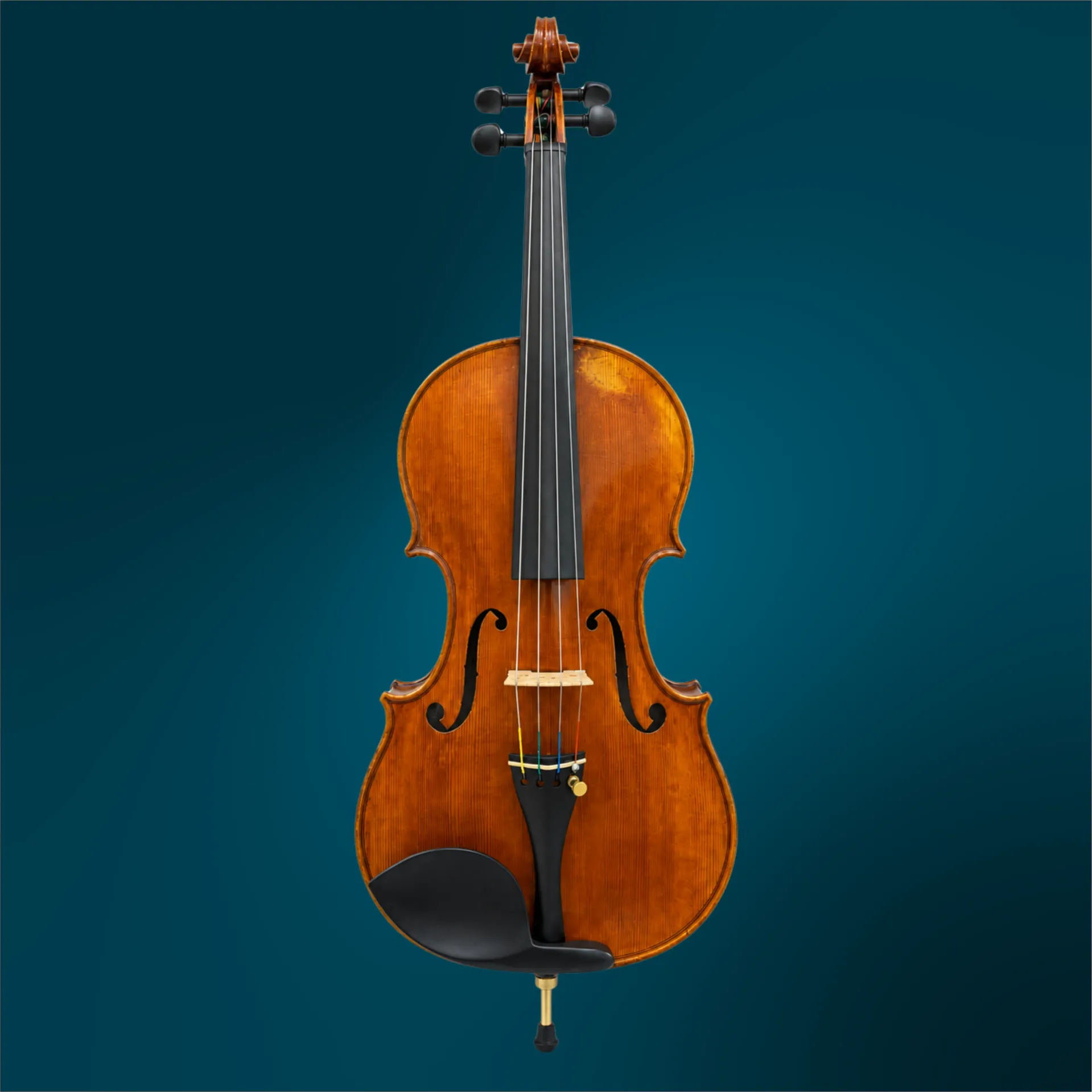 Violin - Federico Fiora, 4/4 (#4951)
