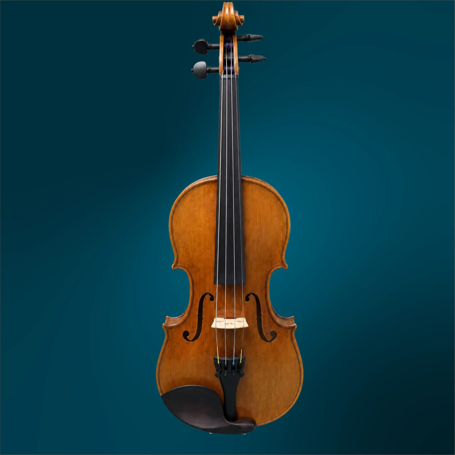Violin - Beatrice Rose, 4/4 (#5033)