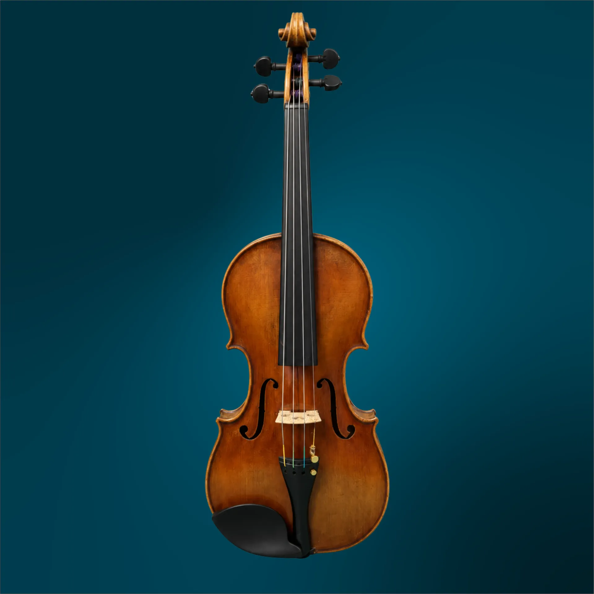 Violin - Daria Vulpe, 4/4 (#5079)