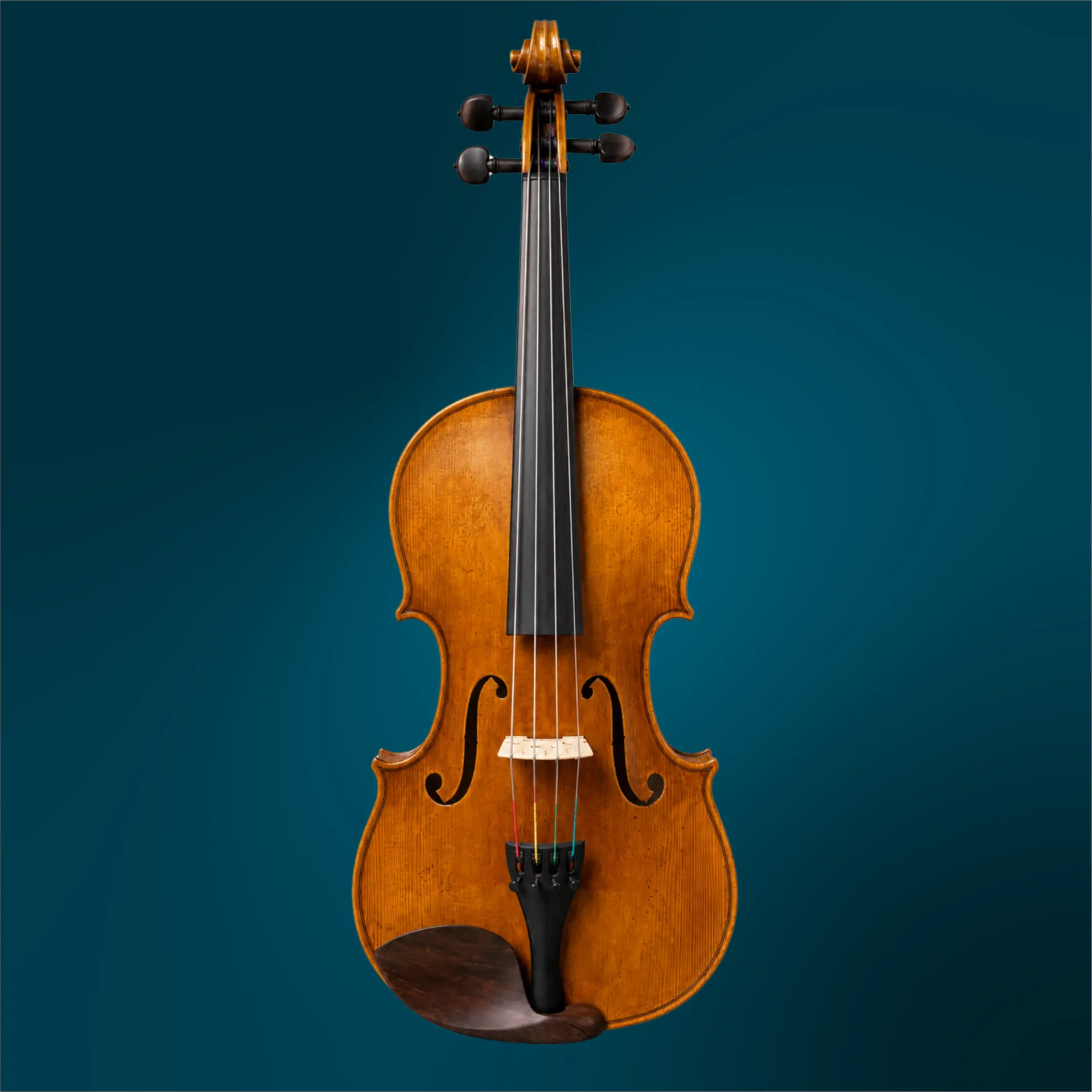 [4827] Viola - Beatrice Rose, 15.5-inch (#4827)