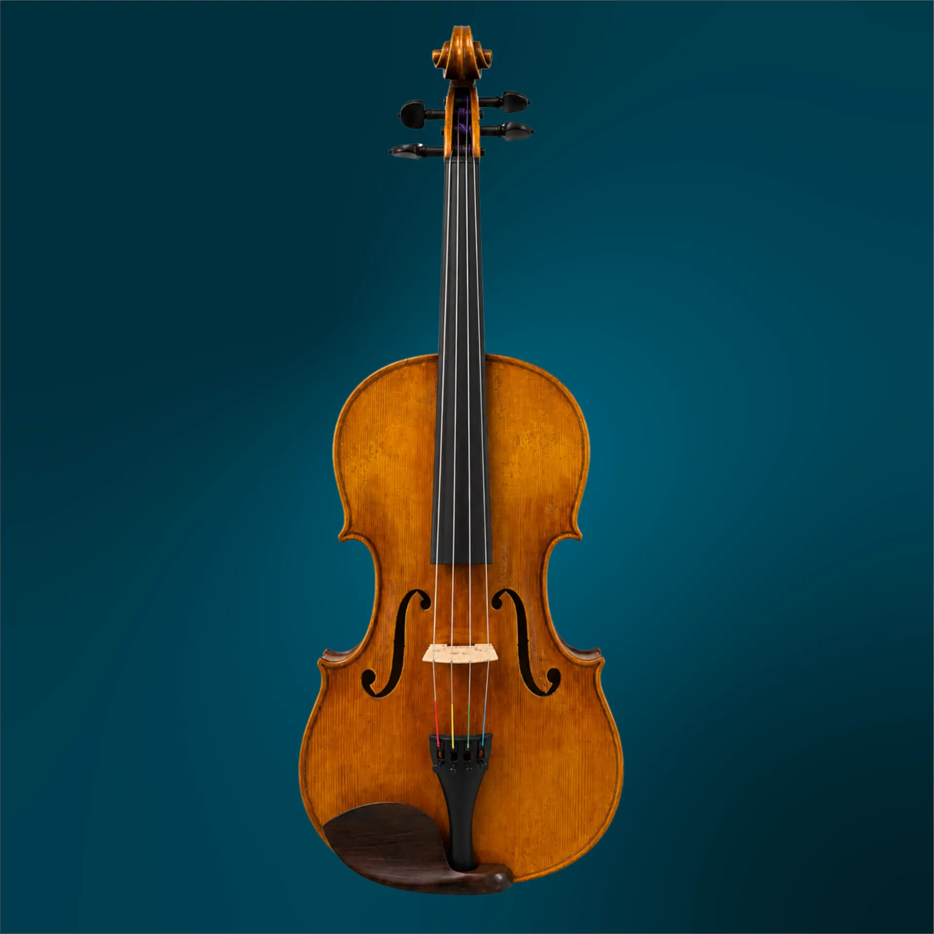 Viola - Beatrice Rose, 16-inch (#4825)