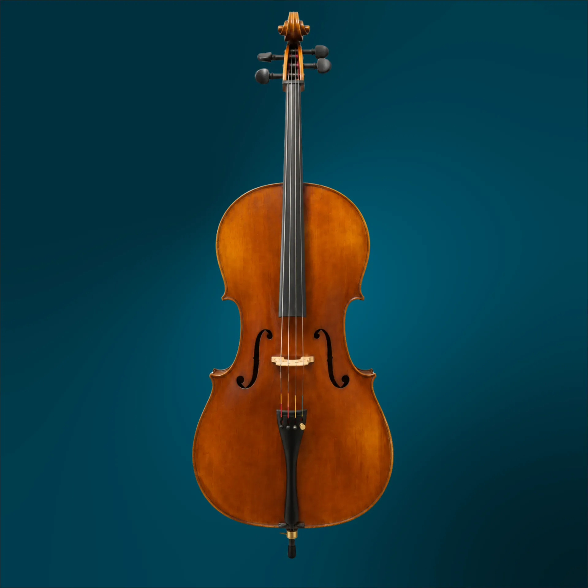 Cello - Clement & Weise (with certificate), 4/4 (#C406)